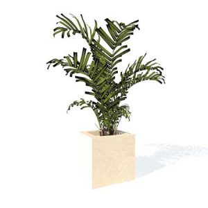 bobazar-accessoires-plante-jardiniere-bois-40x40-1